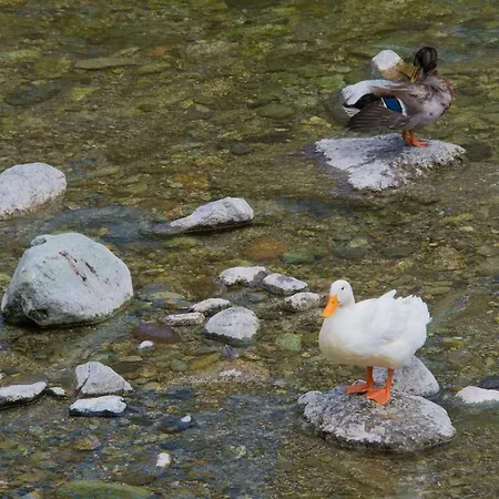 In A 5 Km Dal Mare 上阿尔比索拉